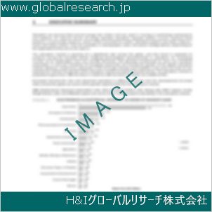 グローバルリサーチ調査資料のイメージ